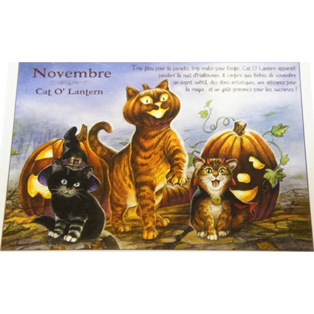 セブリーヌキャット フランス製 キャット ポストカード 猫 ネコ はがき 絵葉書 絵はがき 絵ハガキ 可愛い 猫 猫グッズ ねこ雑貨 おしゃれ