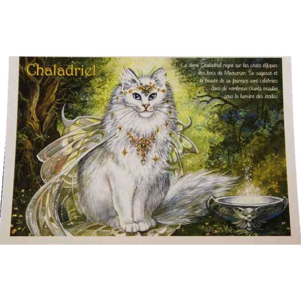 セブリーヌキャット フランス製 キャット ポストカード 猫 ネコ はがき 絵葉書 絵はがき 絵ハガキ 可愛い 猫 猫グッズ ねこ雑貨 おしゃれ