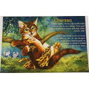 5%OFFクーポンあり★16日AM1時59分まで | フランス製 キャット ポストカード 猫 ネコ はがき 絵葉書 絵はがき 絵ハガキ おしゃれ かわいい 猫 ...