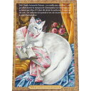 5%OFFクーポンあり★16日AM1時59分まで | フランス製 キャット ポストカード 猫 ネコ はがき 絵葉書 絵はがき 絵ハガキ おしゃれ かわいい 猫 ...