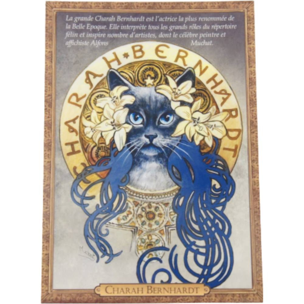 セブリーヌキャット フランス製 キャット ポストカード 猫 ネコ はがき 絵葉書 絵はがき 絵ハガキ 可愛い 猫 猫グッズ ねこ雑貨 おしゃれ