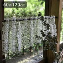 【5%OFFクーポン8月11日01時59分までの期間限定】4サイズ展開 all lace カフェカーテン 60x120cm 2カラー ホワイト ゴールド ギュピ...