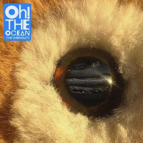 ザ ウォンバッツ - Oh The Ocean インディーズ限定 Cloudy Clear レコード