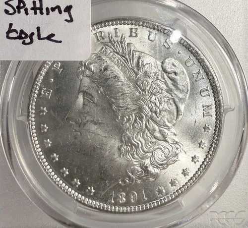1891-CC モルガン銀貨、MS63 PCGS。「唾吐きの鷲」（13202）