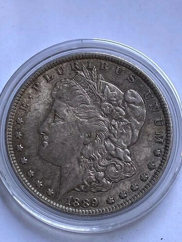 1889年 アメリカ モルガン銀貨 ミントマークなし (AU/UNC) 90% 銀貨 美しいディテール
