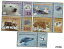 ڶ/ʼݾڽա ƥ    [̵] Arctic territories Private Full set 5 pcs 25,50,100,250,500 2017 UNC Fauna