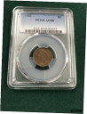 1903 インディアン ペニー PCGS AU 501903 Indian Penny PCGS AU 50(3)