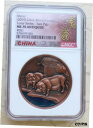 NGC MS70 アンティーク 2019 中国 40mm 銅エナメル メダル - 旧暦の亥年NGC MS70 Antiqued 2019 China 40mm Copper Enamel Medal - Lunar Year of the Pig