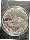 ファインディング シルバーバグ アイランド 2015 1 オンス シルバー プルーフ コイン カプセル付きFinding Silverbug Island 2015 1 oz Silver Proof Coin With Capsule