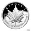 ڶ/ʼݾڽա ƥ    [̵] 2013 Cannabis Proof - Silver Bullet Silver Shield .999 Collector Medallion SBSS