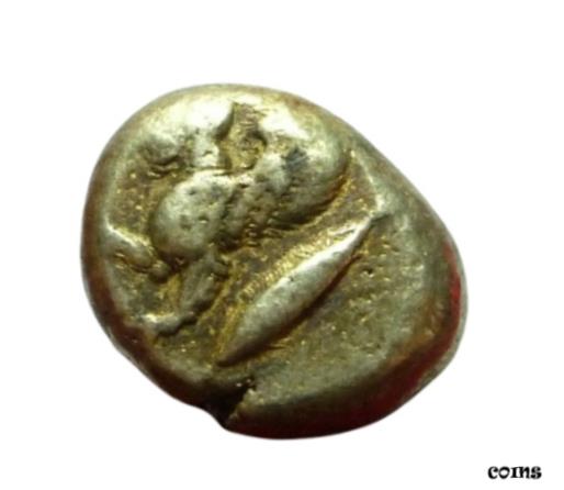 ץʡɥ꥽㤨֡ڶ/ʼݾڽա ƥ Ų MYSIA, KYZIKOS Circa 550-450 BC. EL Stater Forepart of Sphinx [̵] #oof-wr-010033-193פβǤʤ934,500ߤˤʤޤ