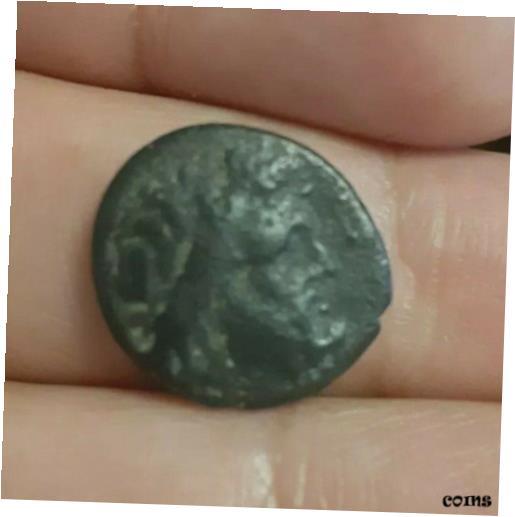 ƥåꥢ ꡼Υå 200BC  ƥ ꥷ ԡ  ꥷ 5 z.dLARISSA under THE...