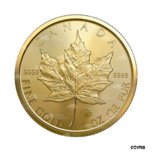 ڶ/ʼݾڽա ƥ  1 oz 2022 Canadian Maple Leaf Gold Coin [̵] #gcf-wr-010170-82