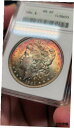 1884 P モルガン シルバー ダラー ANACS MS62 を調色しました。モンスターレインボーソープボックス!Toned 1884 P Morgan Silver Dollar ANACS MS62. MONSTER RAINBOW SOAPBOX!
