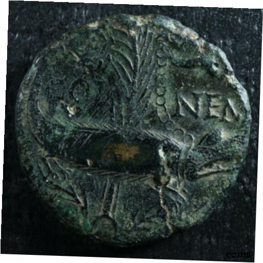 アウグストゥス・アグリッパ 10-14 ネマウスス RIC 160 クロコダイル・アウグステとしてAugustus Agrippa As 10-14 Nemausus RIC 160 Crocodile Auguste