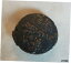 ڶ/ʼݾڽա ƥ    [̵] POSEIDON / TRIDENT / HIERON II. Syracuse, Sicily Circa BC 250. Coin +COA