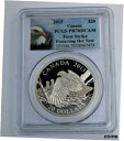  アンティークコイン コイン 金貨 銀貨  2013 1 oz .9999 Silver Proof coin Bald Eagle Protecting her Nest PR70 DCAM OGP