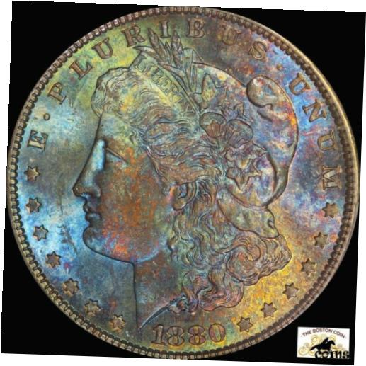 ڶ/ʼݾڽա ƥ  1880 S MORGAN SILVER DOLLAR PCGS MS 64 BLUEB...