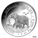 yɔi/iۏ؏tz AeB[NRC RC   [] Somalia Elephant Silver 999.9 Silver Coins 2022 100 SH. African Wildlife-