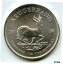 ڶ/ʼݾڽա ƥ    [̵] 2020 South Africa 999 Silver 1 oz Krugerrand Coin Suid Afrika Bullion BP111