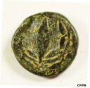 紀元前 340 〜 300 年の古代ギリシャのコイン - アジアのエライア ミノ - アテナ - トウモロコシ - 穀物340-300 BC Ancient G...