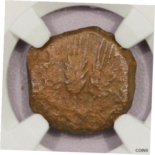 AD 37-44  å I AE ץ륿 yr.6 NGC VG B-1137-44 AD Judaea Agrippa I ...