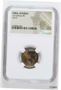 アパメイア、シリア 紀元前1世紀 AE19 NGC 本物Apameia, Syria 1st Century BC AE19 NGC Authentic