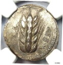 【極美品/品質保証書付】 アンティークコイン コイン 金貨 銀貨 [送料無料] Lucania Metapontum AR Stater Silver Barley Incuse Coin 470-440 BC - NGC XF (EF)