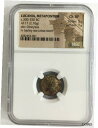 ルカニア メタポントゥム 古代コイン 紀元前 300Lucania Metapontum Ancient Coin 300 BC