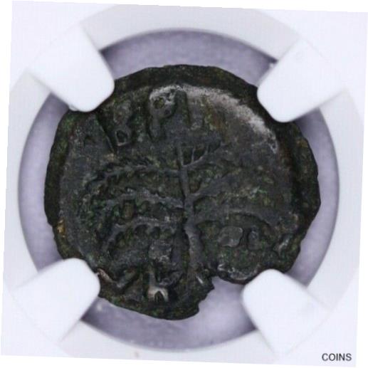  アンティークコイン コイン 金貨 銀貨  52-59 Governors of Judaea Antonius Felix AE Prutah NGC - VF B-15