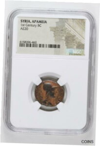 アパメイア、シリア 紀元前1世紀 AE20 NGC 本物Apameia, Syria 1st Century BC AE20 NGC Authentic