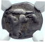 ڶ/ʼݾڽա ƥ    [̵] PKOKIS Greek Federal Central Greece Authentic 460BC Silver Coin NGC i77991