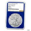 2021 (W) $1 タイプ 2 アメリカン シルバー イーグル NGC MS70 ブラウン ラベル ブルー コア2021 (W) $1 Type 2 Ame...
