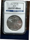 2010 アメリカン シルバー イーグル NGC MS70 早期リリース!送料無料!2010 AMERICAN SILVER EAGLE NGC MS70 EA...