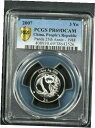 2007 (1988) 中国パンダ 1/4 オンス 999 プルーフ銀貨 3 元 PCGS PR 69 DCAM2007 ( 1988 ) China Panda 1/4 oz 999 Proof Silver coin 3 Yuan PCGS PR 69 DCAM