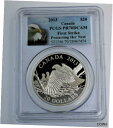  アンティークコイン コイン 金貨 銀貨  2013 1 oz .9999 Silver Proof coin Bald Eagle Protecting her Nest PR70 DCAM OGP