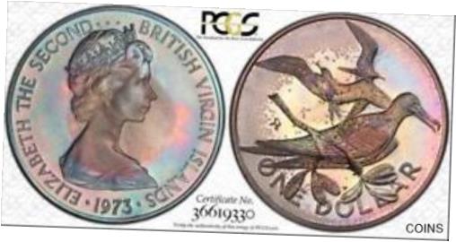  アンティークコイン コイン 金貨 銀貨  1973-FM BRITISH VIRGIN ISL.SILVER $1 DOLLAR PCGS ENVIRONMENTAL DAMAGE TONED COIN