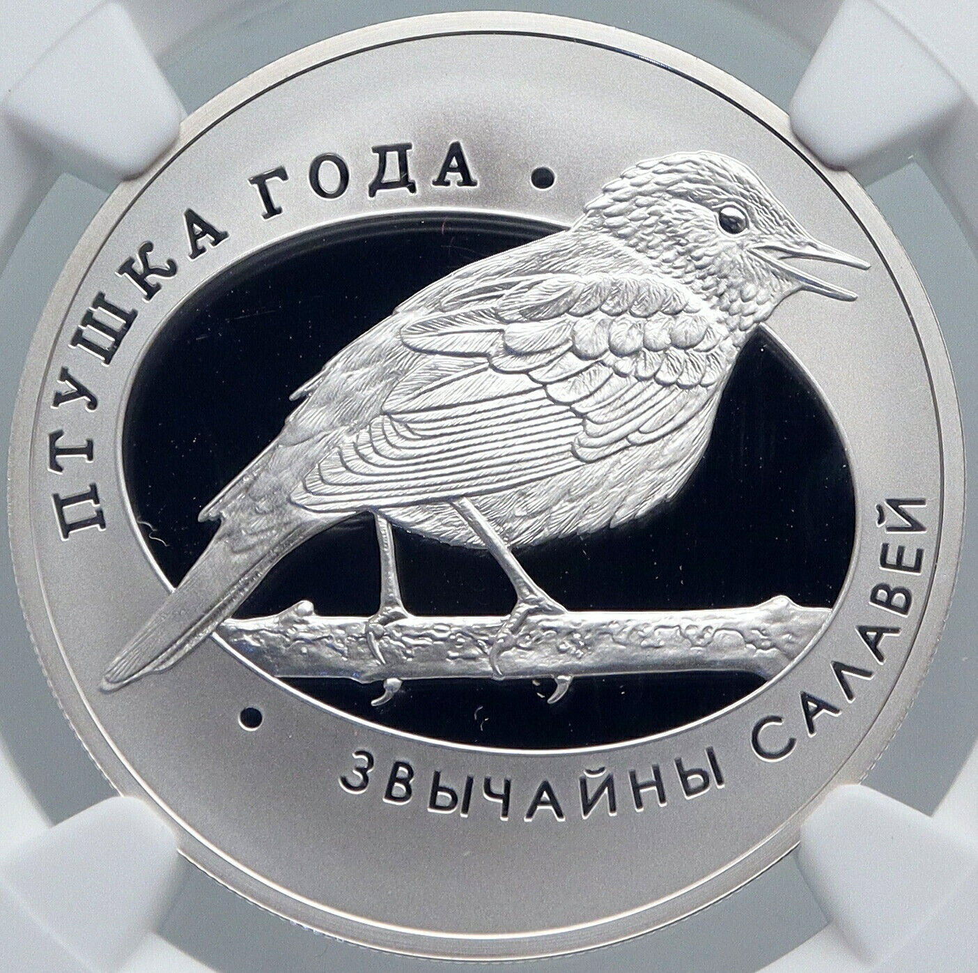 【極美品/品質保証書付】 アンティークコイン コイン 金貨 銀貨 [送料無料] 2007 BELARUS Animals NIGHTINGALE BIRD Pet Proof Silver 10 Rouble Coin NGC i89230