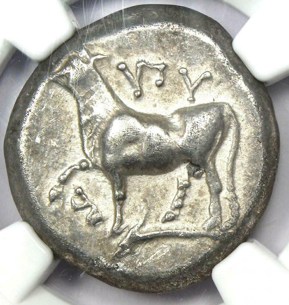  アンティークコイン コイン 金貨 銀貨  Thrace Byzantium AR Tetradrachm Silver Cow & Dolphin Coin 387 BC. NGC Choice XF