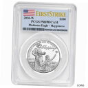 2020-W プルーフ $100 アメリカン プラチナ イーグル ハピネス PCGS PR69DCAM FS フラグ ラベル2020-W Proof $100 American Platinum Eagle Happiness PCGS PR69DCAM FS Flag Label