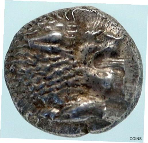  アンティークコイン 銀貨 MILETOS in IONIA Authentic Ancient ARCHAIC Silver Greek Coin LION NGC MS i83831  #sct-wr-011201-4758