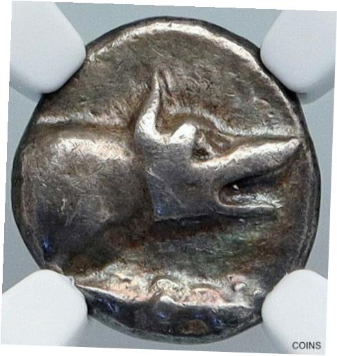 argos silverβ