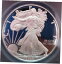 ڶ/ʼݾڽա ƥ    [̵] 2020 S American Silver Eagle ANACS 7177717 PF 67 DCAM