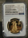 2021 1 オンス W プルーフ ゴールド NGC PF69 アメリカン イーグル オンス $50 21EBN PR タイプ 2 T22021 1 oz W ...