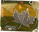 yɔi/iۏ؏tz AeB[NRC 2013 SILVER MAPLE LEAF 25th ANNIV 24K GOLD gilded coin 1 oz. Proof .999 COA BOX [] #ccf-wr-011926-2104