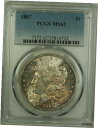 yɔi/iۏ؏tz AeB[NRC RC   [] 1887 Morgan Silver Dollar $1 Coin PCGS MS-62 Toned Obverse (10B)