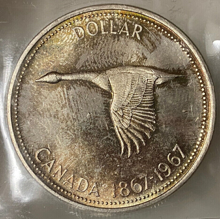 ڶ/ʼݾڽա ƥ    [̵] CANADA ELIZABETH II SILVER DOLLAR 1967 - ICCS MS-64