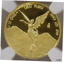 2013 1/10 オンス ゴールド メキシコ リベルタード NGC PF70 レア デイト 300 ミント2013 1/10 oz Gold Mexico L...