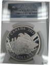  アンティークコイン 銀貨 2015 PF70 EAGLE PROTECTING HER NEST $20 CANADA 1 Oz Silver, NGC Early Releases  #sot-wr-012165-278