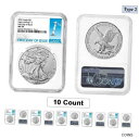 10 個ロット - 2021 1 オンス シルバー アメリカン イーグル タイプ 2 NGC MS 70 FDOILot of 10 - 2021 1 oz Silver American Eagle Type 2 NGC MS 70 FDOI